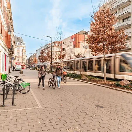 Chaleureux & Lumineux T3 Strasbourg-centre *